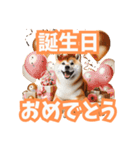 柴犬！いつでも使えるスタンプ（個別スタンプ：30）