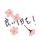 満開の桜 花見に誘うスタンプ（個別スタンプ：4）