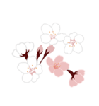 満開の桜 花見に誘うスタンプ（個別スタンプ：11）