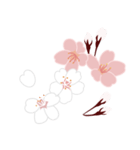 満開の桜 花見に誘うスタンプ（個別スタンプ：19）
