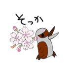 Stamps that make you feel spring（個別スタンプ：11）