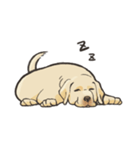 優しいラブラドールレトリーバー（個別スタンプ：2）
