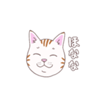 猫たちの頭だけ(関西弁)（個別スタンプ：1）