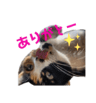 まゆげの一言（個別スタンプ：7）