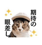 Cap Cat 〜キャップキャット〜（個別スタンプ：2）