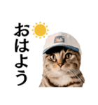 Cap Cat 〜キャップキャット〜（個別スタンプ：7）