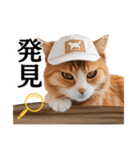 Cap Cat 〜キャップキャット〜（個別スタンプ：13）