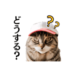 Cap Cat 〜キャップキャット〜（個別スタンプ：18）