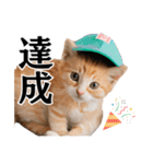 Cap Cat 〜キャップキャット〜（個別スタンプ：32）