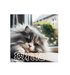 春 夏 秋 冬 猫 猫 猫（個別スタンプ：20）