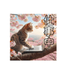 春 夏 秋 冬 猫 猫 猫（個別スタンプ：29）