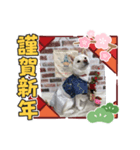 犬正月Ⅱ（個別スタンプ：2）