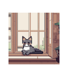 猫のドット絵＠（個別スタンプ：3）