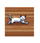 猫のドット絵＠（個別スタンプ：13）