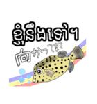 海水魚リロの仲間たち(クメール語と日本語)（個別スタンプ：13）