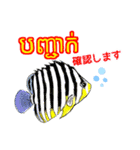 海水魚リロの仲間たち(クメール語と日本語)（個別スタンプ：30）