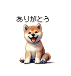 ドット絵 仔犬な柴犬 日常会話（個別スタンプ：3）