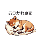 ドット絵 仔犬な柴犬 日常会話（個別スタンプ：4）