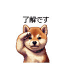 ドット絵 仔犬な柴犬 日常会話（個別スタンプ：6）