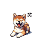 ドット絵 仔犬な柴犬 日常会話（個別スタンプ：8）