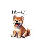 ドット絵 仔犬な柴犬 日常会話（個別スタンプ：9）