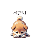 ドット絵 仔犬な柴犬 日常会話（個別スタンプ：10）