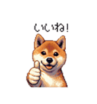 ドット絵 仔犬な柴犬 日常会話（個別スタンプ：11）