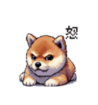 ドット絵 仔犬な柴犬 日常会話（個別スタンプ：12）