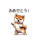 ドット絵 仔犬な柴犬 日常会話（個別スタンプ：14）