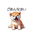 ドット絵 仔犬な柴犬 日常会話（個別スタンプ：15）