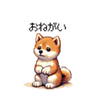 ドット絵 仔犬な柴犬 日常会話（個別スタンプ：16）