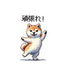 ドット絵 仔犬な柴犬 日常会話（個別スタンプ：17）