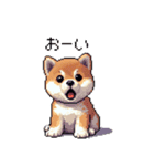 ドット絵 仔犬な柴犬 日常会話（個別スタンプ：19）