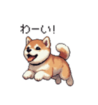 ドット絵 仔犬な柴犬 日常会話（個別スタンプ：20）