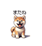 ドット絵 仔犬な柴犬 日常会話（個別スタンプ：21）