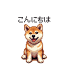 ドット絵 仔犬な柴犬 日常会話（個別スタンプ：24）