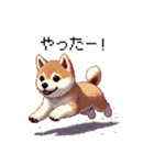 ドット絵 仔犬な柴犬 日常会話（個別スタンプ：27）