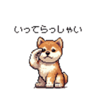 ドット絵 仔犬な柴犬 日常会話（個別スタンプ：29）