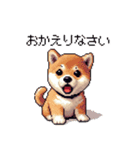 ドット絵 仔犬な柴犬 日常会話（個別スタンプ：30）