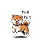 ドット絵 仔犬な柴犬 日常会話（個別スタンプ：32）