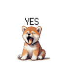 ドット絵 仔犬な柴犬 日常会話（個別スタンプ：34）