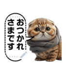 リアル猫のメッセージスタンプ01（個別スタンプ：2）
