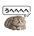 リアル猫のメッセージスタンプ01（個別スタンプ：4）