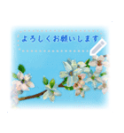 水彩画風桜（個別スタンプ：4）