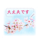 水彩画風桜（個別スタンプ：6）