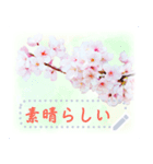 水彩画風桜（個別スタンプ：7）