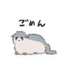 偉そうな猫さん（個別スタンプ：4）