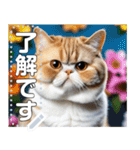 【ブサカワ猫】エキゾチックショートヘア（個別スタンプ：2）