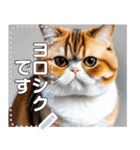 【ブサカワ猫】エキゾチックショートヘア（個別スタンプ：3）