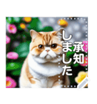 【ブサカワ猫】エキゾチックショートヘア（個別スタンプ：5）
